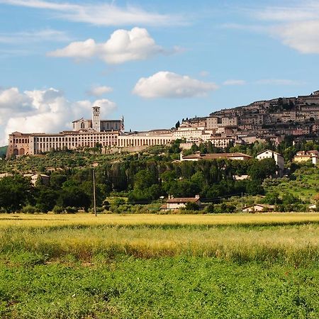 Vista Assisi Bed & Breakfast Екстериор снимка
