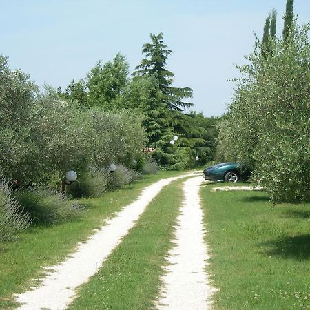 Vista Assisi Bed & Breakfast Екстериор снимка
