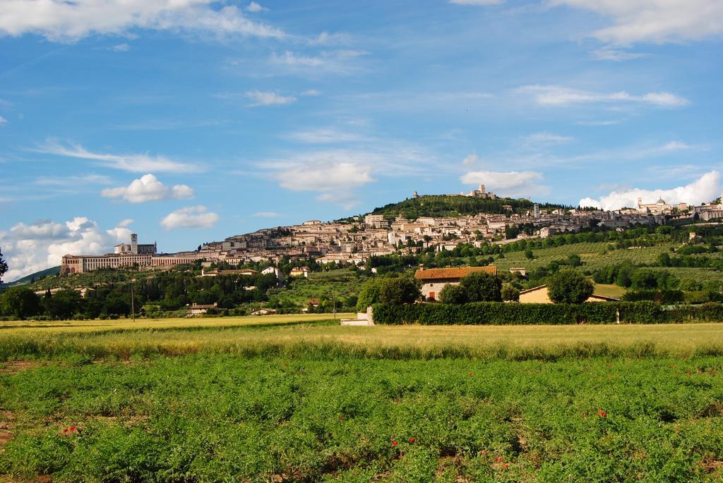 Vista Assisi Bed & Breakfast Екстериор снимка