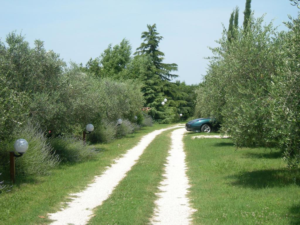 Vista Assisi Bed & Breakfast Екстериор снимка