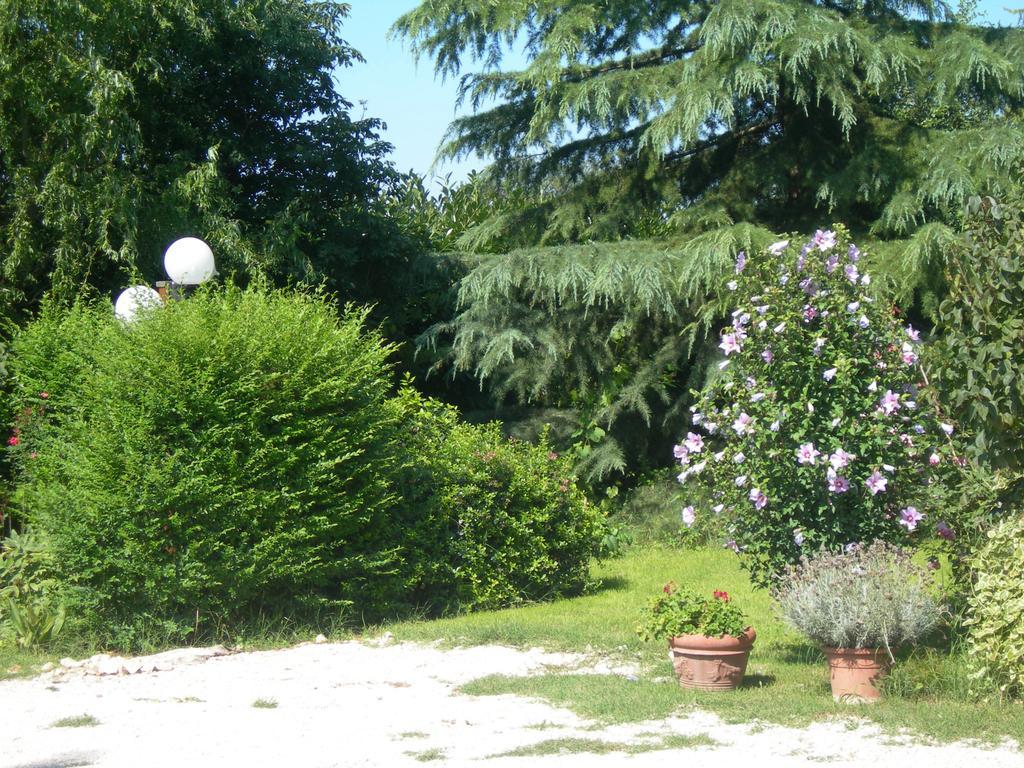 Vista Assisi Bed & Breakfast Екстериор снимка