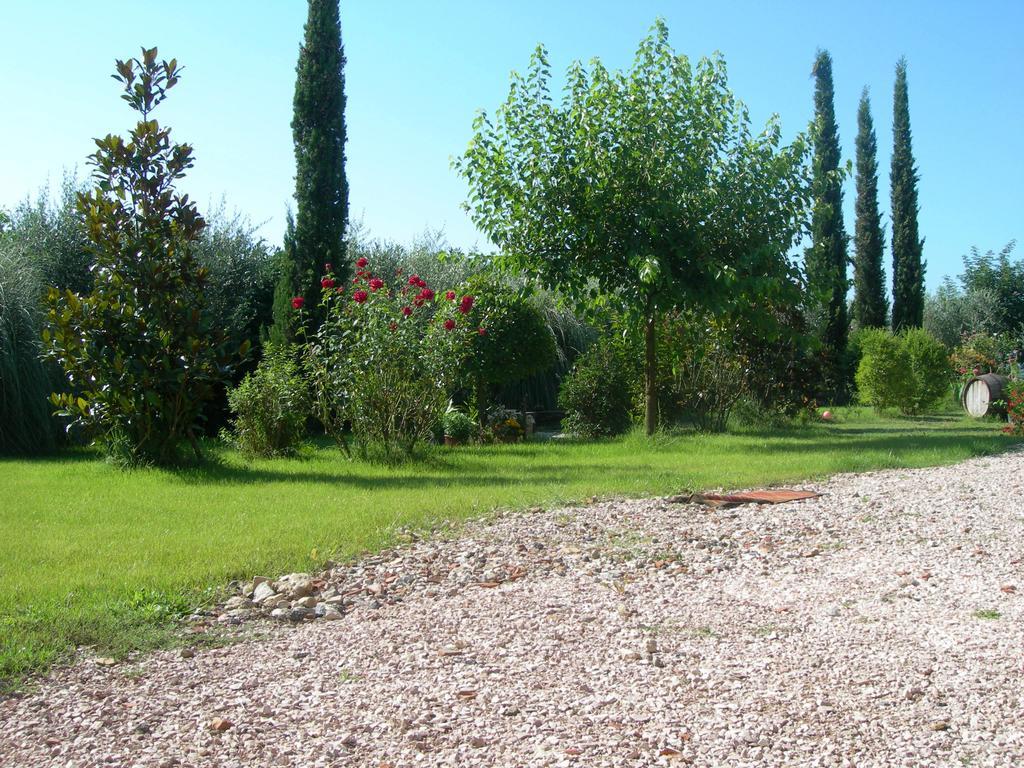 Vista Assisi Bed & Breakfast Екстериор снимка
