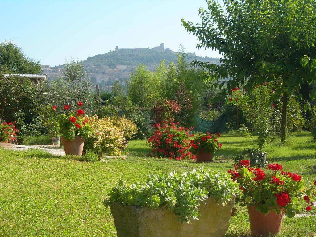 Vista Assisi Bed & Breakfast Екстериор снимка