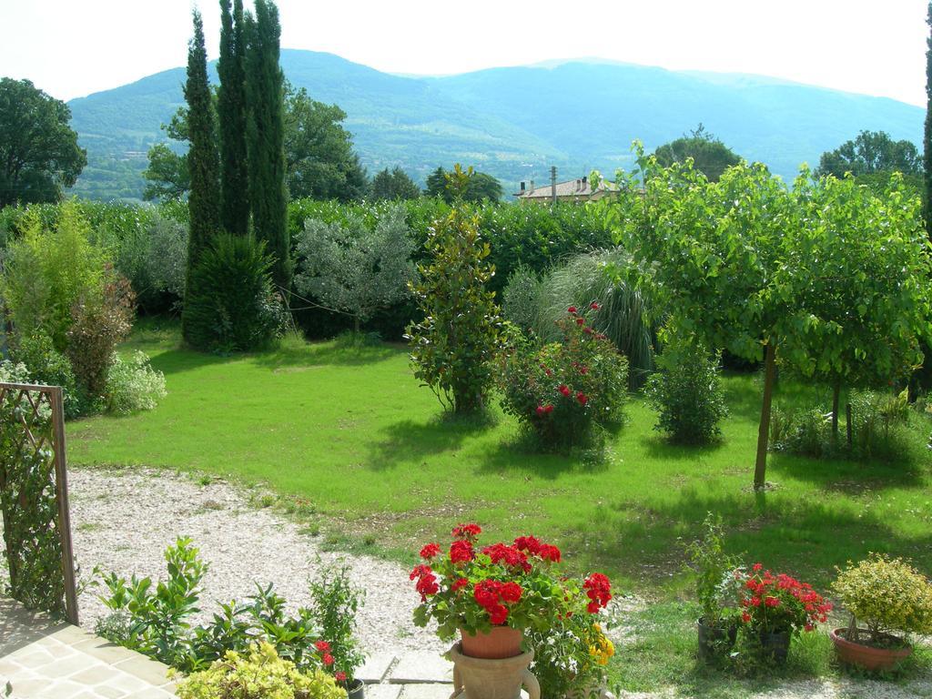 Vista Assisi Bed & Breakfast Екстериор снимка