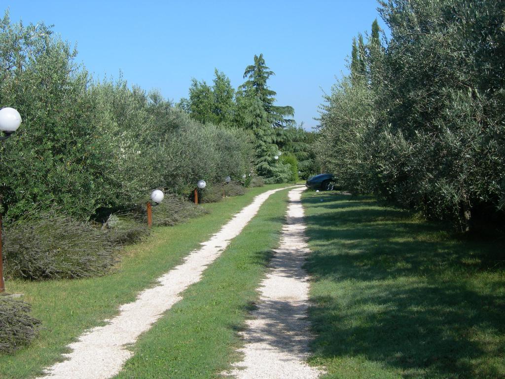 Vista Assisi Bed & Breakfast Екстериор снимка